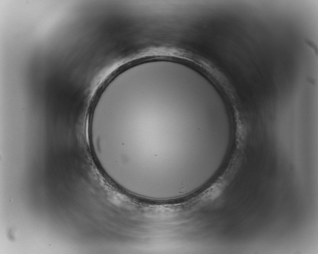 X0000103911272200810171657