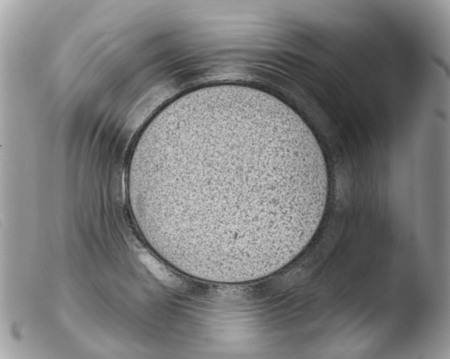 X0000103911274200810171657