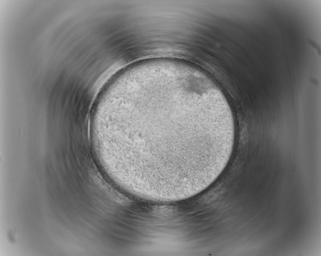 X0000103911275200810171657
