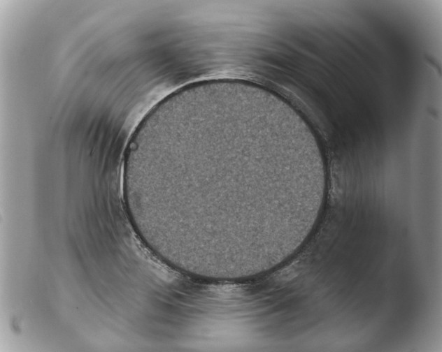 X0000103911276200810171657