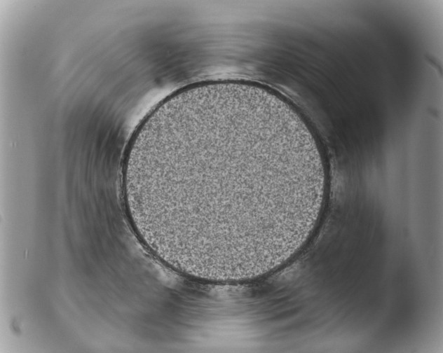 X0000103911277200810171656