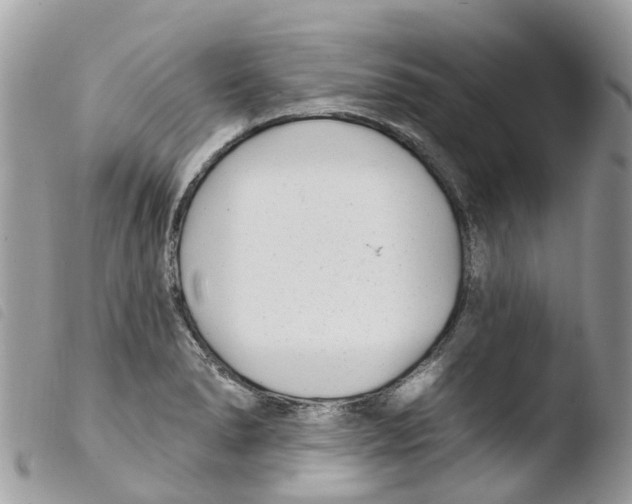 X0000103911278200810171656