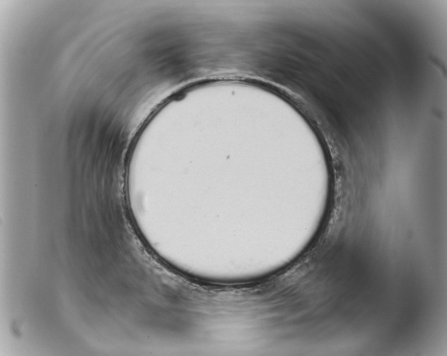 X0000103911279200810171656
