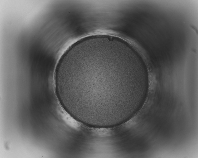 X0000103911280200810171656