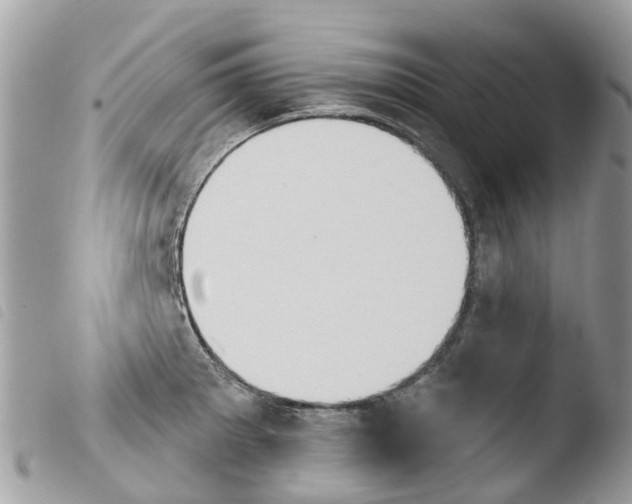 X0000103911281200810171656