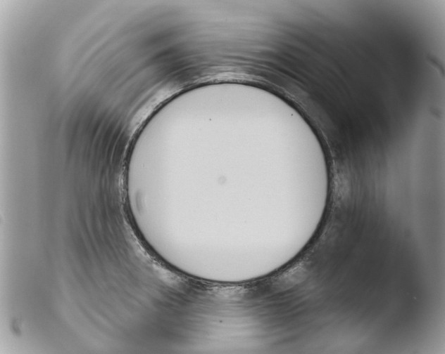 X0000103911282200810171656