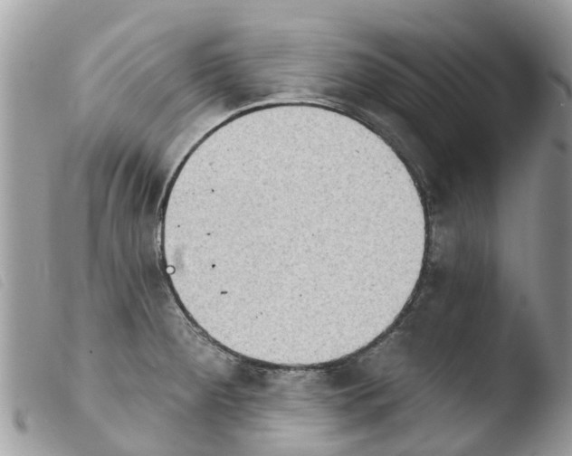 X0000103911284200810171656