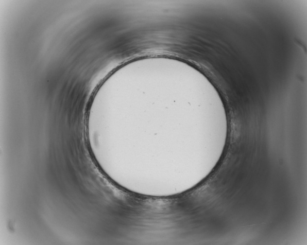 X0000103911286200810171656