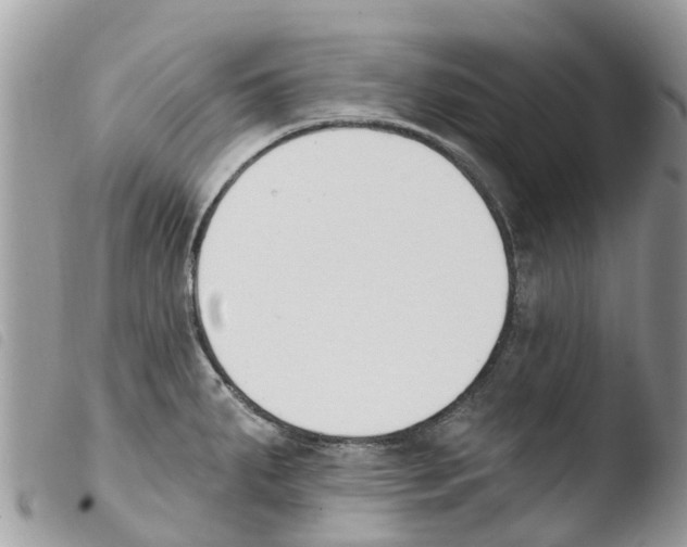 X0000103911287200810171656