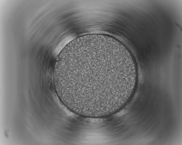 X0000103911289200810171656