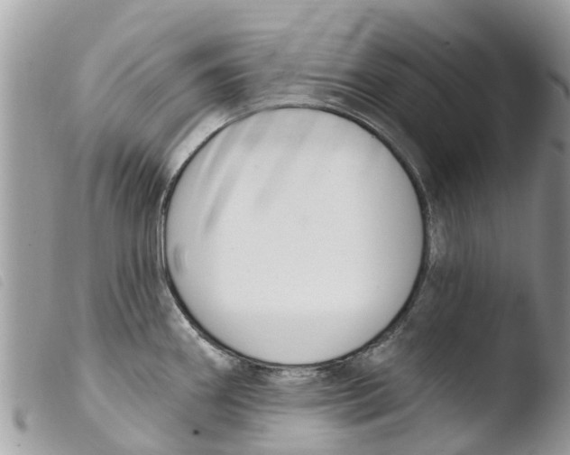 X0000103911290200810171656