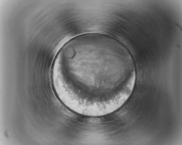 X0000103911291200810171656