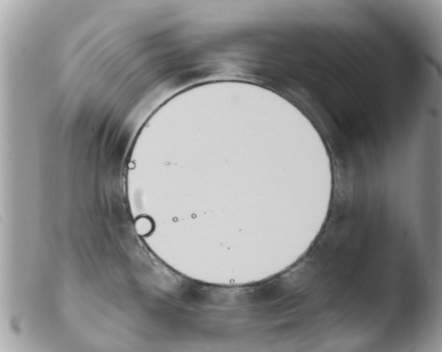 X0000103911292200810171656