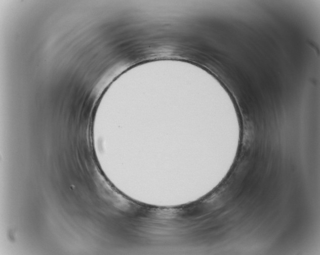 X0000103911293200810171656