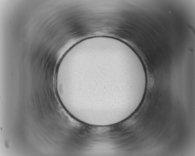 X0000103911294200810171656