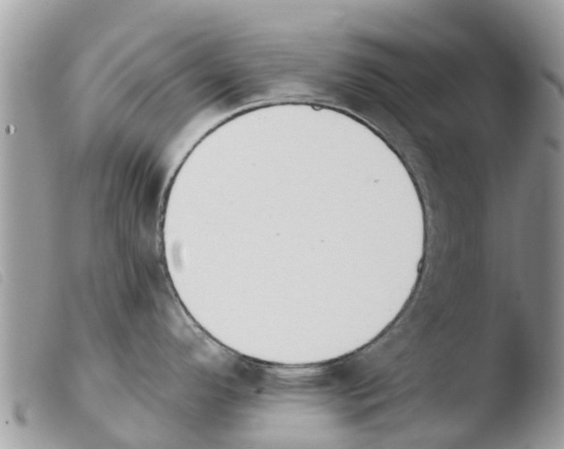 X0000103911296200810171656