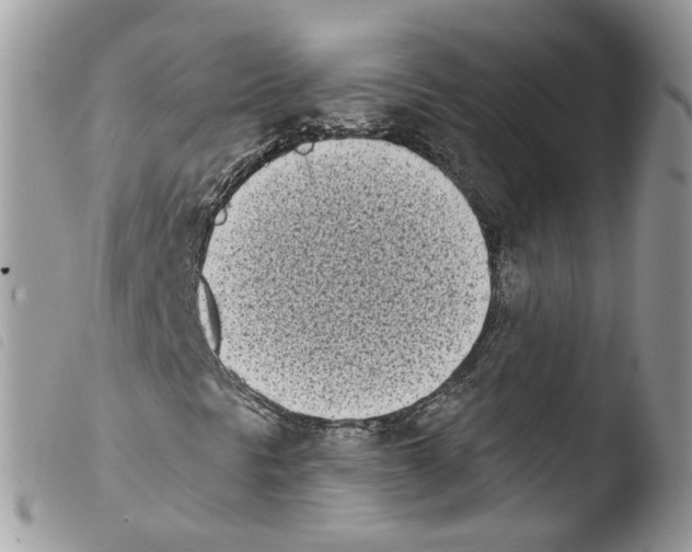X0000103911297200810171655