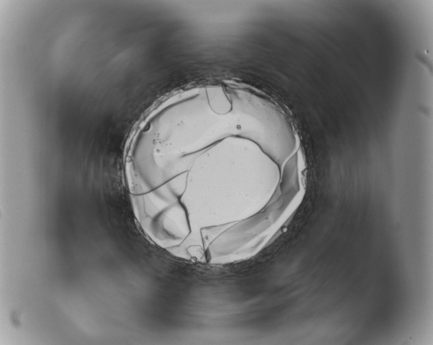 X0000103911298200810171655