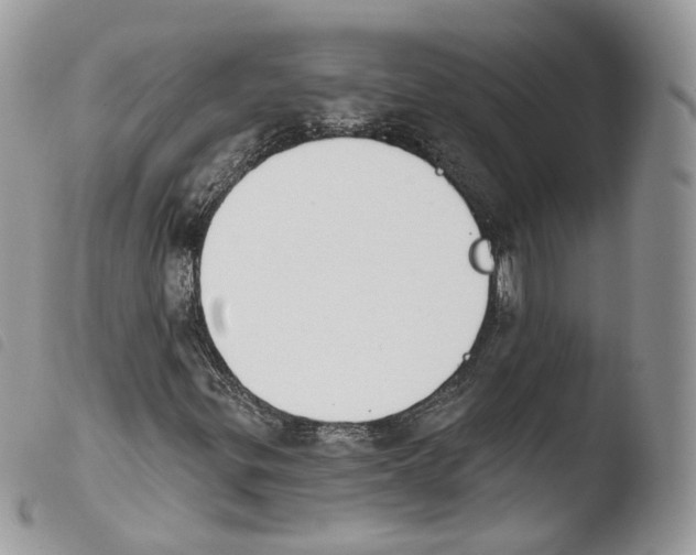 X0000103911299200810171656