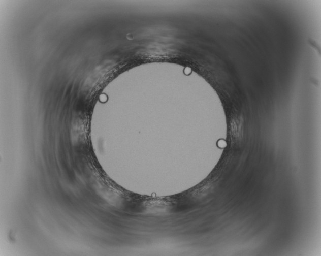X0000103911300200810171656