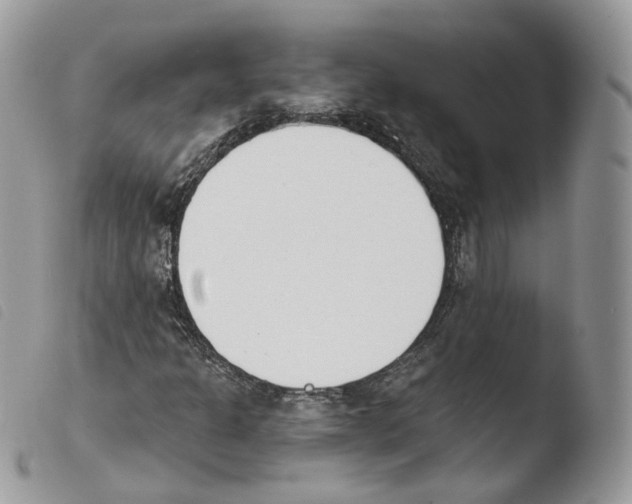 X0000103911301200810171656