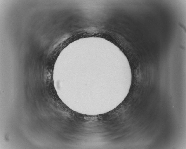 X0000103911302200810171656