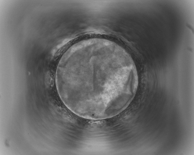 X0000103911303200810171656