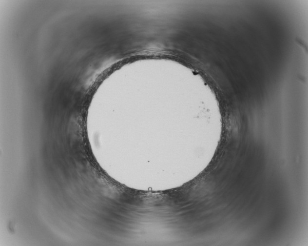 X0000103911304200810171656