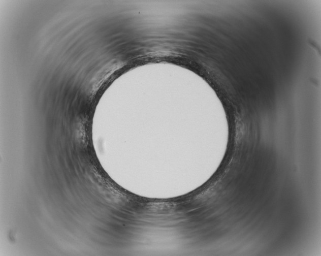 X0000103911305200810171656
