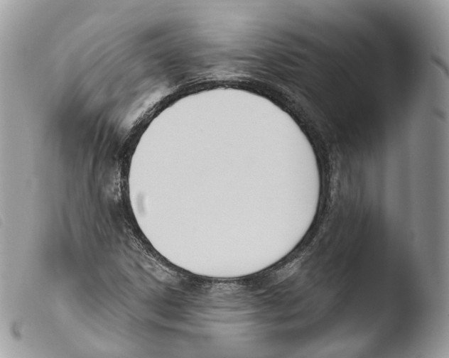 X0000103911306200810171656