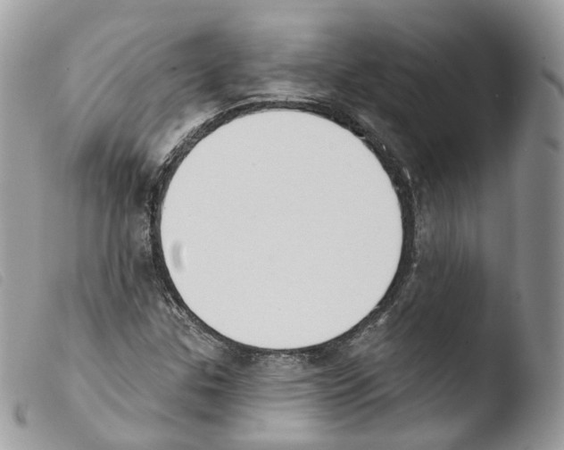 X0000103911307200810171656