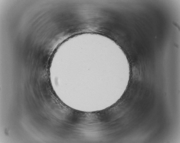 X0000103911308200810171656