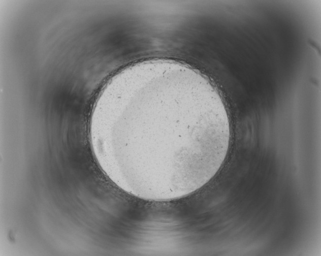 X0000103911310200810171656