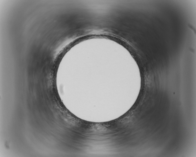 X0000103911311200810171656