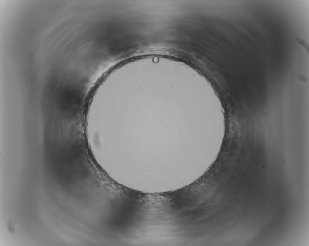 X0000103911312200810171656