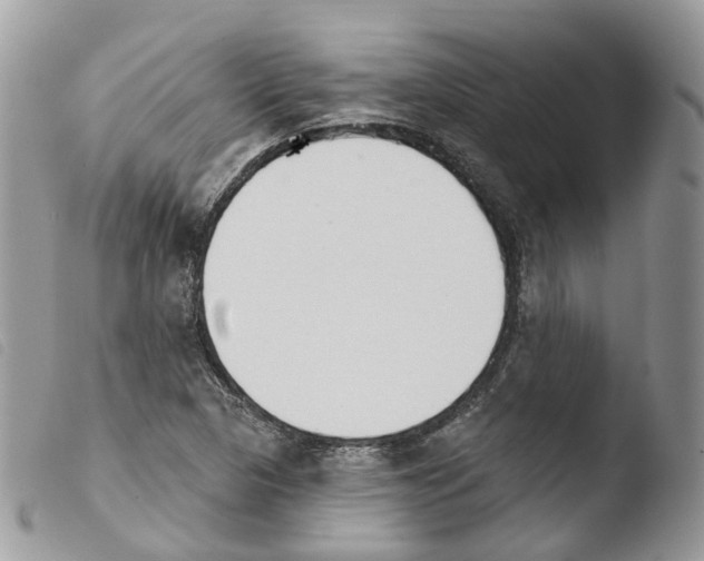 X0000103911313200810171656