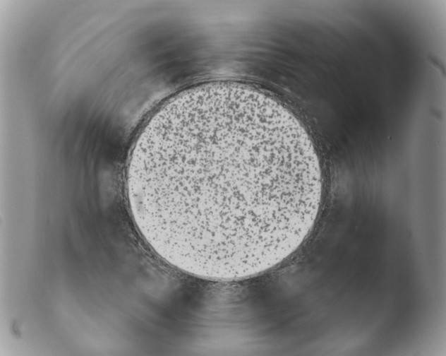 X0000103911314200810171656