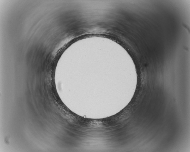 X0000103911315200810171656