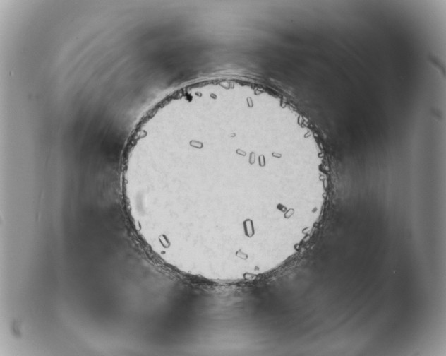 X0000103911316200810171656
