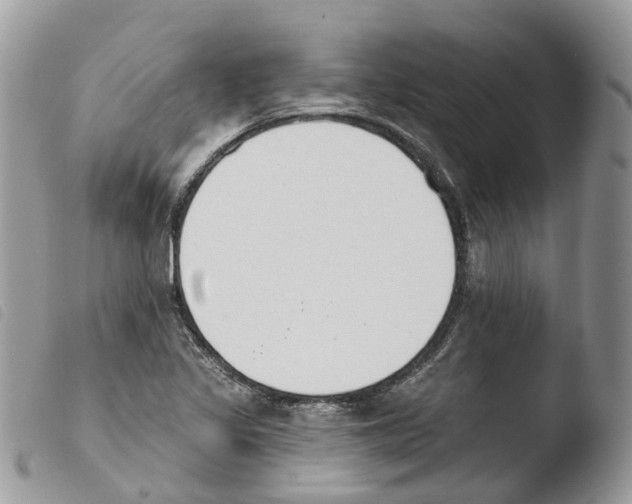 X0000103911317200810171656