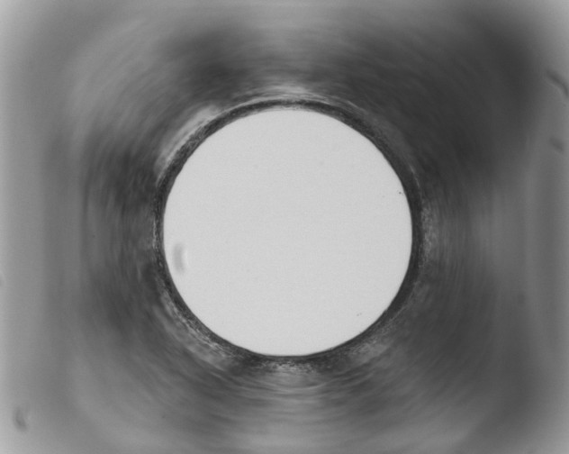 X0000103911318200810171656