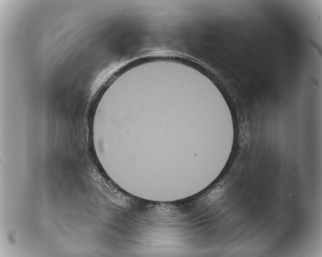 X0000103911319200810171656