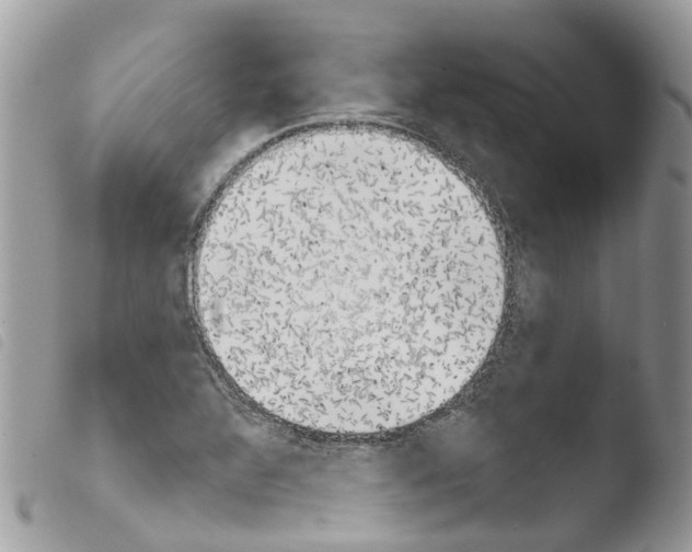 X0000103911320200810171656