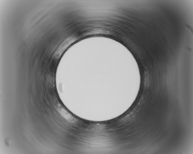 X0000103911321200810171656