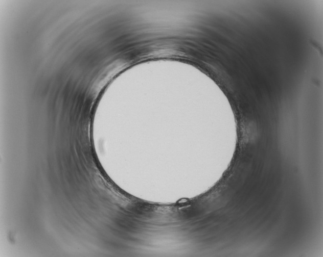 X0000103911322200810171656