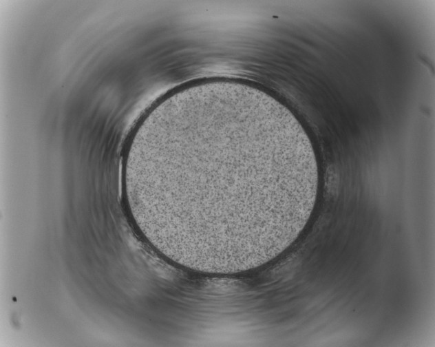 X0000103911323200810171656