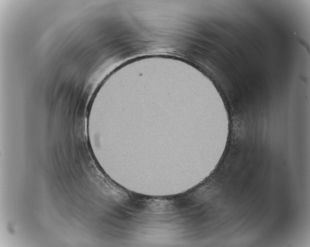 X0000103911324200810171656