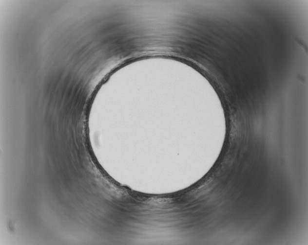 X0000103911325200810171656