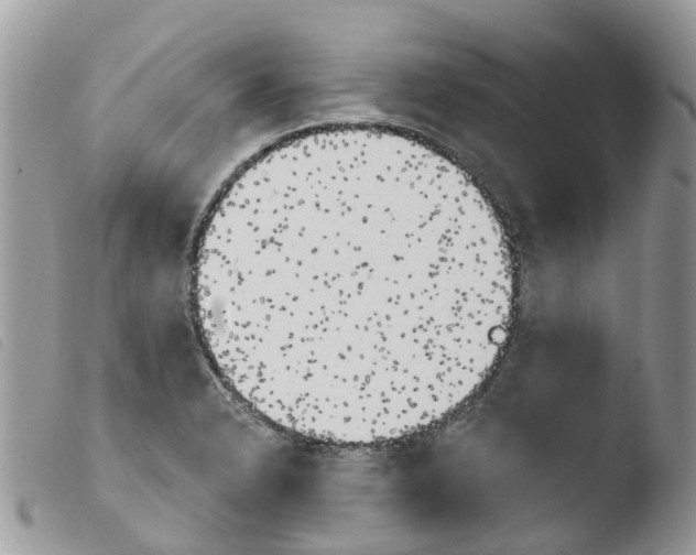X0000103911326200810171656