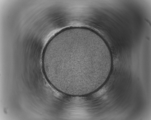 X0000103911327200810171656
